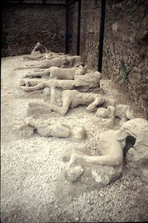 300px-Pompeii_plaster_cast%2C_2011.jpg