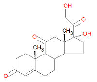 Cortisone Structure