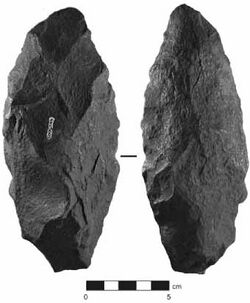 Australopithecus Afarensis And Tools