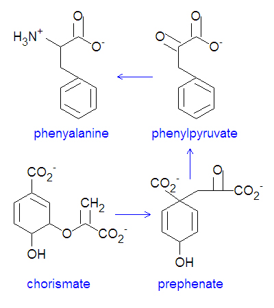 File:Phenylalanine synthesis DEVolk.jpg