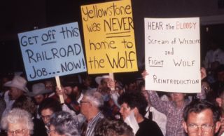 File:Wolf protest.jpg