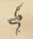 File:Serpent.gif
