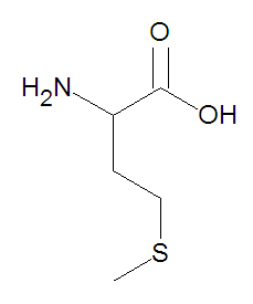 Methionine stick figure.jpg