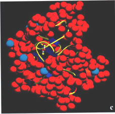 Protein structure of h volcanii.jpg