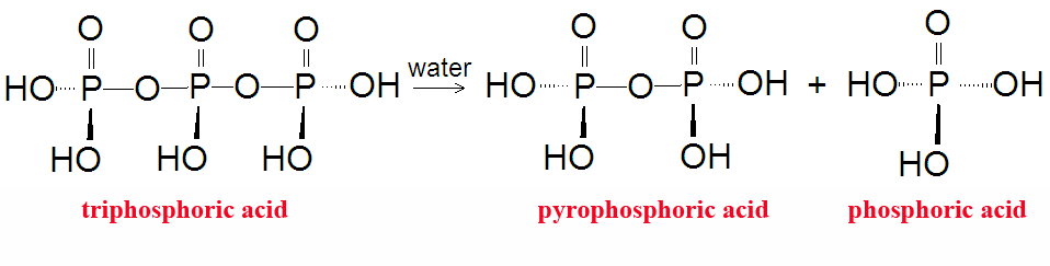 Polyphosphoric acids DEVolk2.png