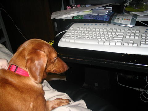 File:Puddy In Control.jpg