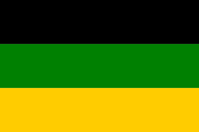 File:ANC flag.png