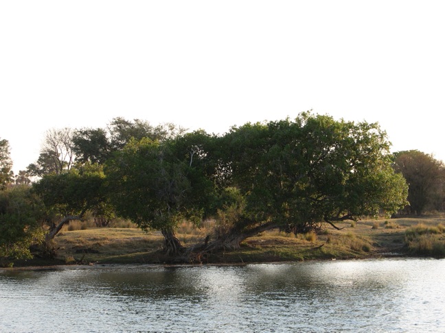 File:Zambezi River.jpg