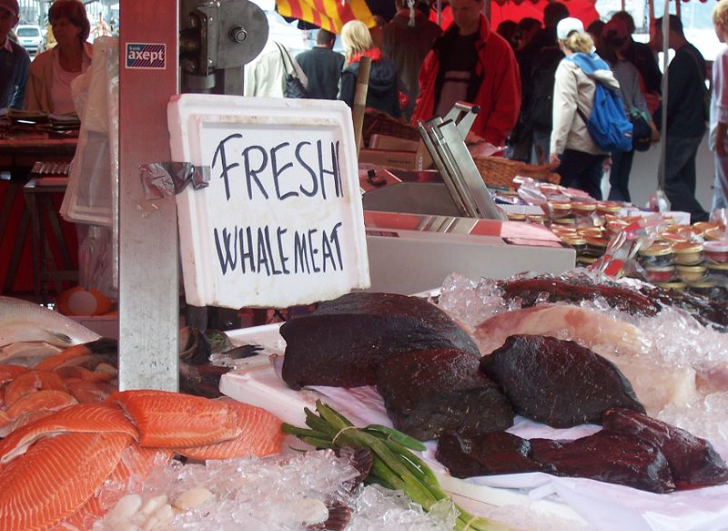 File:Fresh Whale Meat - Norway.jpg