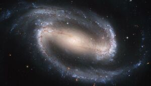 Barred Spiral Galaxy NGC 1300.jpg