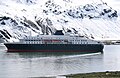 A small cruise ship visiting Grytviken