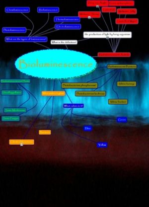 Bioluminescence chart.jpg