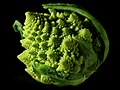 Romanesco broccoli showing very fine natural fractals