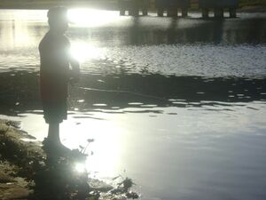 Young Boy Fishing At Dusk.jpg
