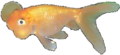 A Juvenile Bubble-eye Goldfish