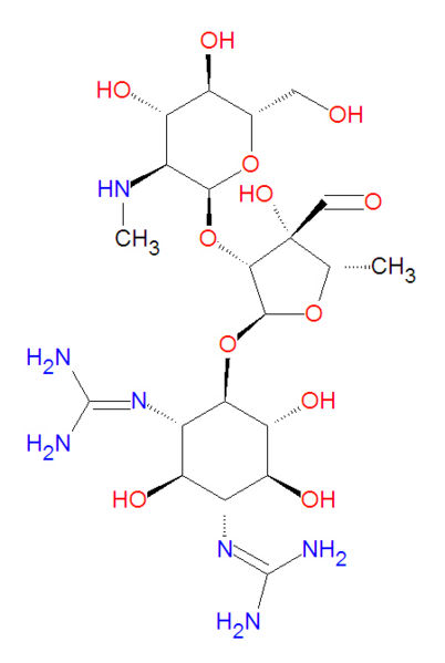 File:Streptomycin structure.jpg