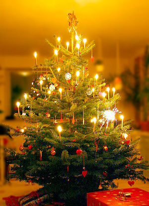 Image-Juletræet.jpg