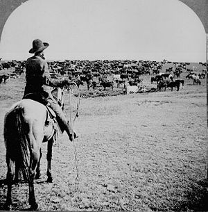 Cowboy bedroll - Wikipedia