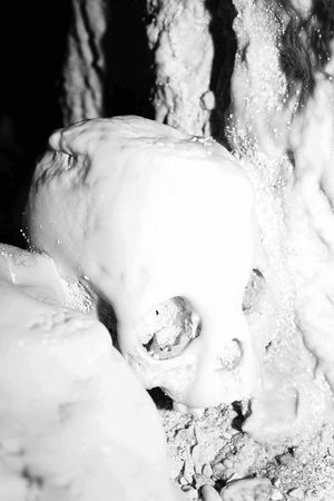 Palau skull 2.jpg