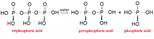 Polyphosphoric acids DEVolk2.png