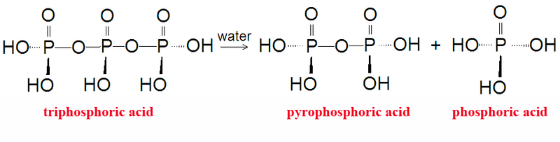 File:Polyphosphoric acids DEVolk2.png