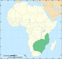 Distribution of the Mozambique spitting cobra