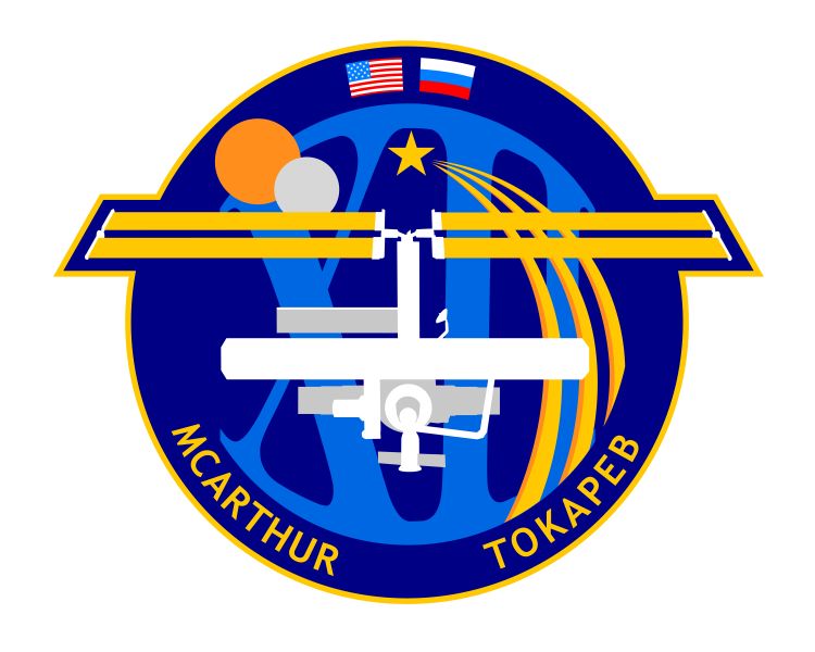File:ISS Expedition 12 Patch.jpg