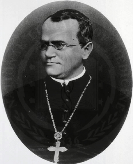 Gregor Mendel - encyclopedia article - Citizendium