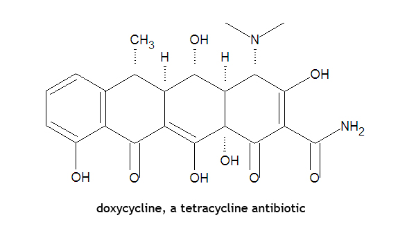 Доксициклин механизм действия. Тетрациклин структурная формула. Тетрациклин формула. Тетрациклины строение. Тетрациклин химическая формула.