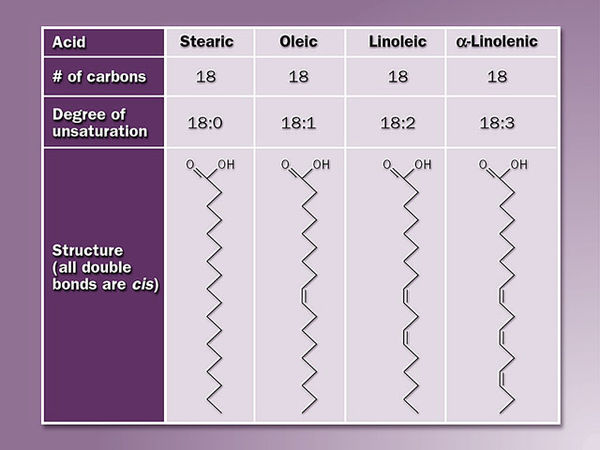 fatty-acid-encyclopedia-article-citizendium