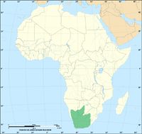 Distribution of the Cape cobra
