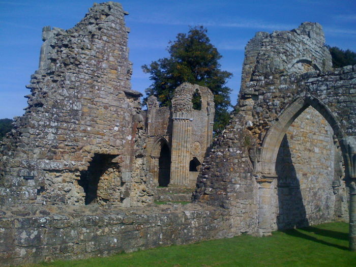 Bayham abbey обои