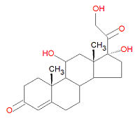 Cortisol - Encyclopedia Article - Citizendium