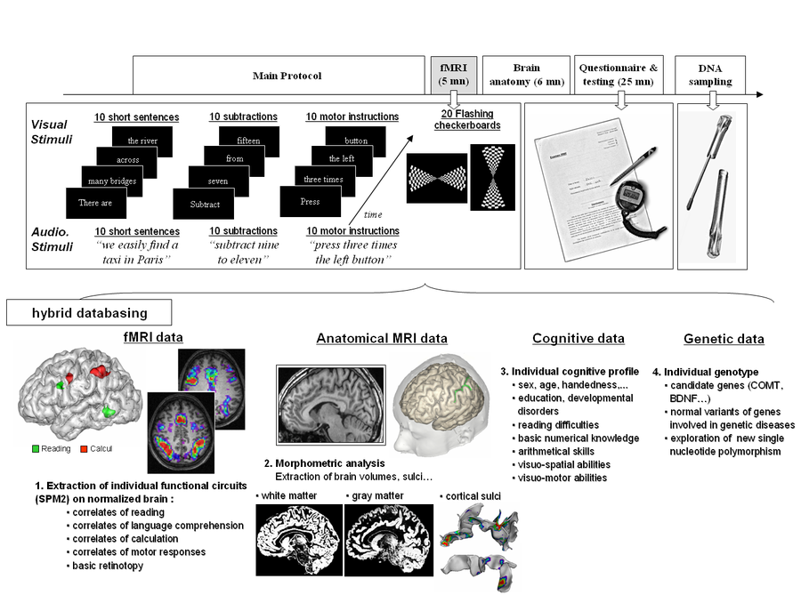 Functional Neuroimaging Jobs