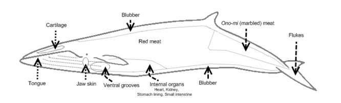 Whale meat - Gallery - Citizendium