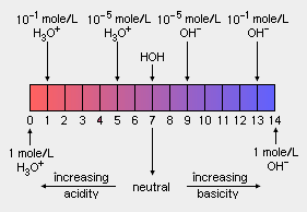 PH scale.png