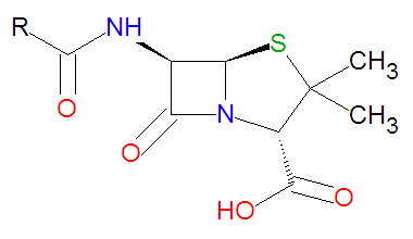File:Penicillin core structure.jpg