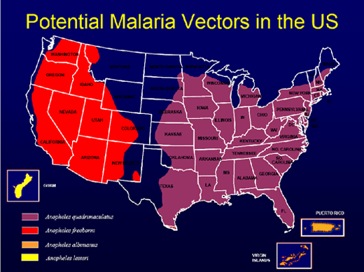 File:Map us malaria vectors.png