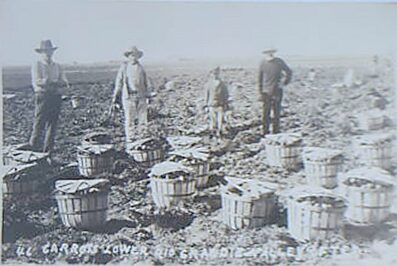 File:Texas-1905-Mexicans.jpg