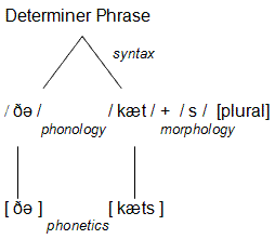 Linguistics-illustration-determinerphrase.gif