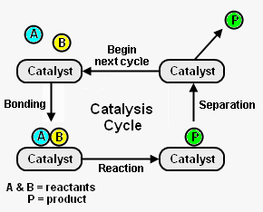 Catalyst, Examples, Definition, & Facts