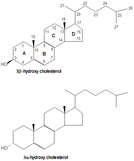 File:Cholesterol structure nomenclature DEVolk.jpg