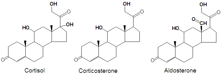 File:Cortisol corticosterone aldosterone stickfig DEVolk.jpg