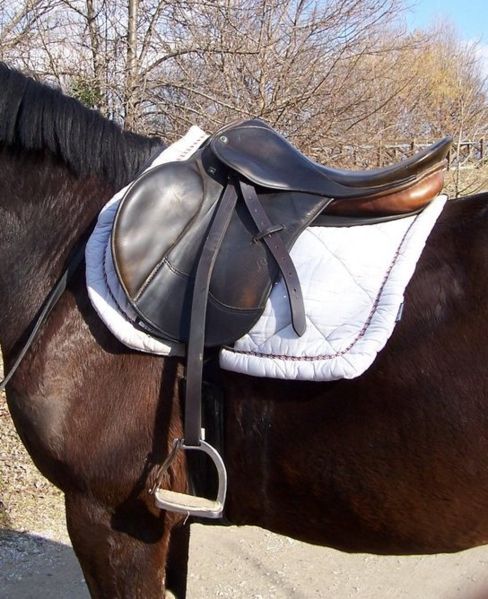 File:English saddle.jpg