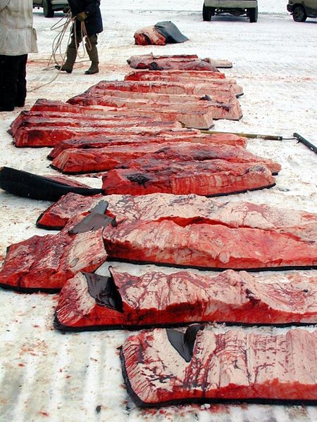 File:Inupiak whale meat.jpg