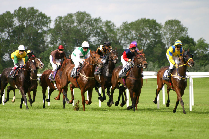 File:Horse-racing-1.jpg