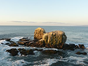 The Punta de Lobos rocks.