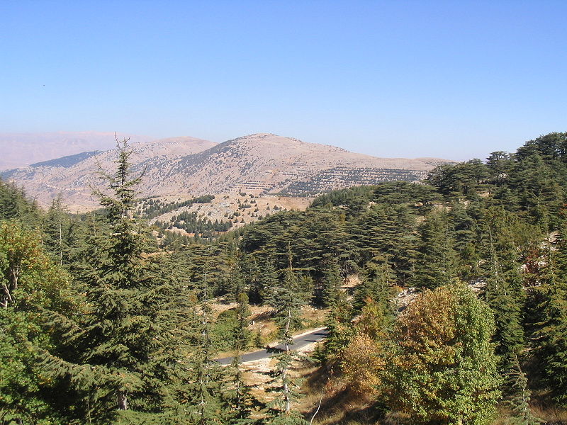 File:Barouk Mountain.JPG