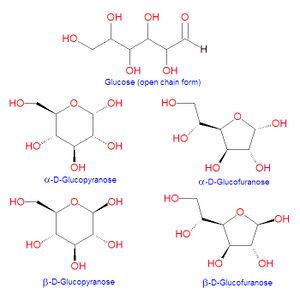 Glucose structures.jpg