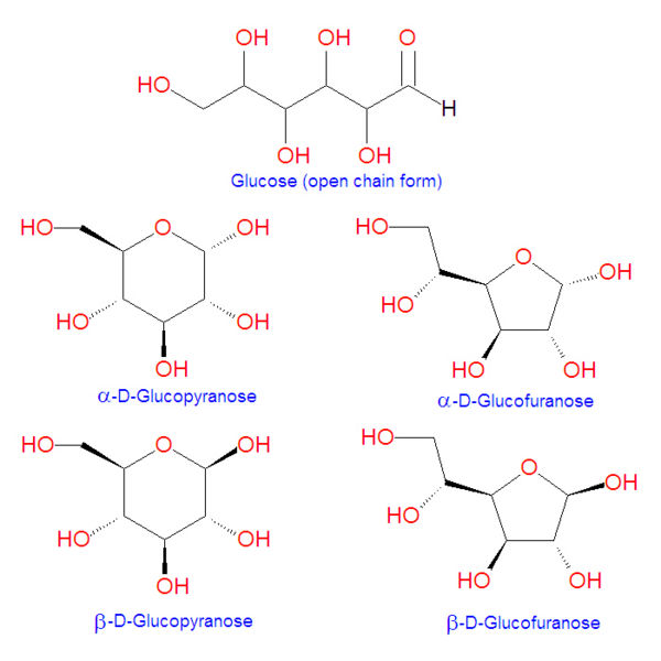 File:Glucose structures.jpg